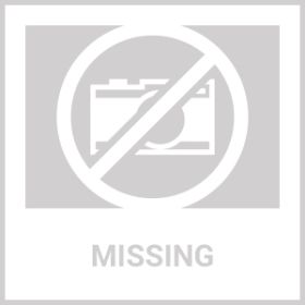 30-inch Black Wire Dog Cage Double Lock Mechanism Double Door Single Handle Single Bolt